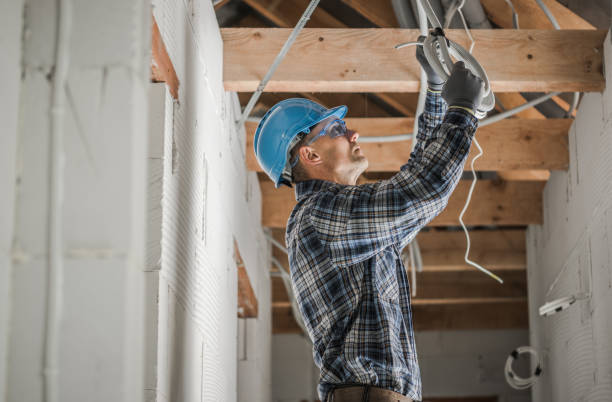 Best Ceiling Fan Installation Electrician  in Orange City, IA